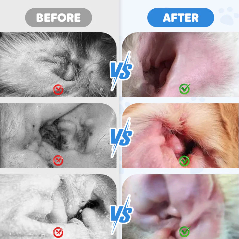AurisEase™ — Instantly Soothe Your Pet’s Itchy Ears and Restore Happy, Healthy Comfort - Image 3