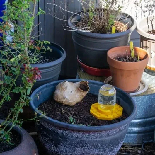 BeeSafeWell Bee Waterer with Safety Features - Image 4