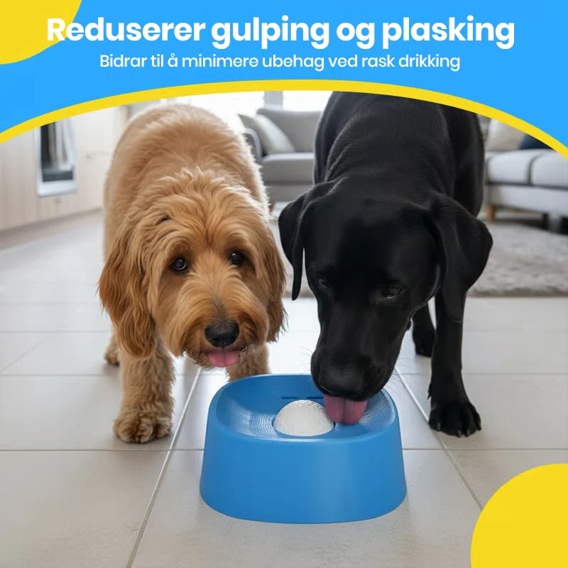 Calm Drinking Solution for Stress-Free Digestion and Happy Dogs - Image 5