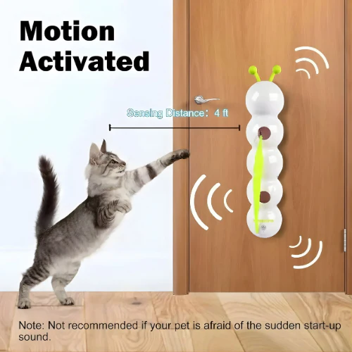 Carnivor™ — Ignite Your Cat’s Wild Instincts for Non-Stop Play and Sharp Focus - Image 2