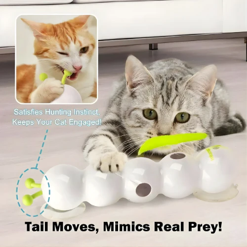 Carnivor™ — Ignite Your Cat’s Wild Instincts for Non-Stop Play and Sharp Focus - Image 5