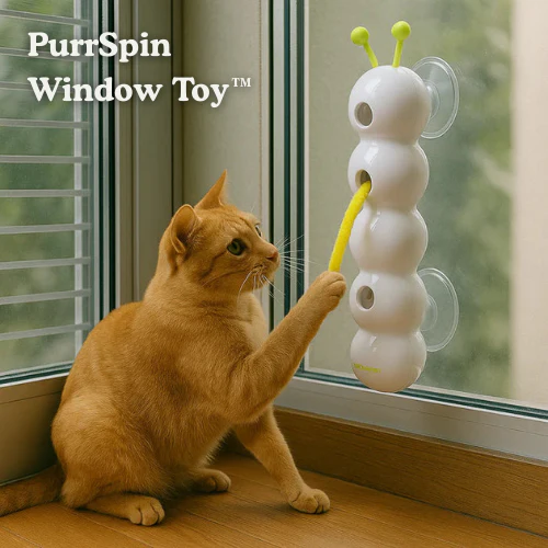 Carnivor™ — Ignite Your Cat’s Wild Instincts for Non-Stop Play and Sharp Focus - Image 7