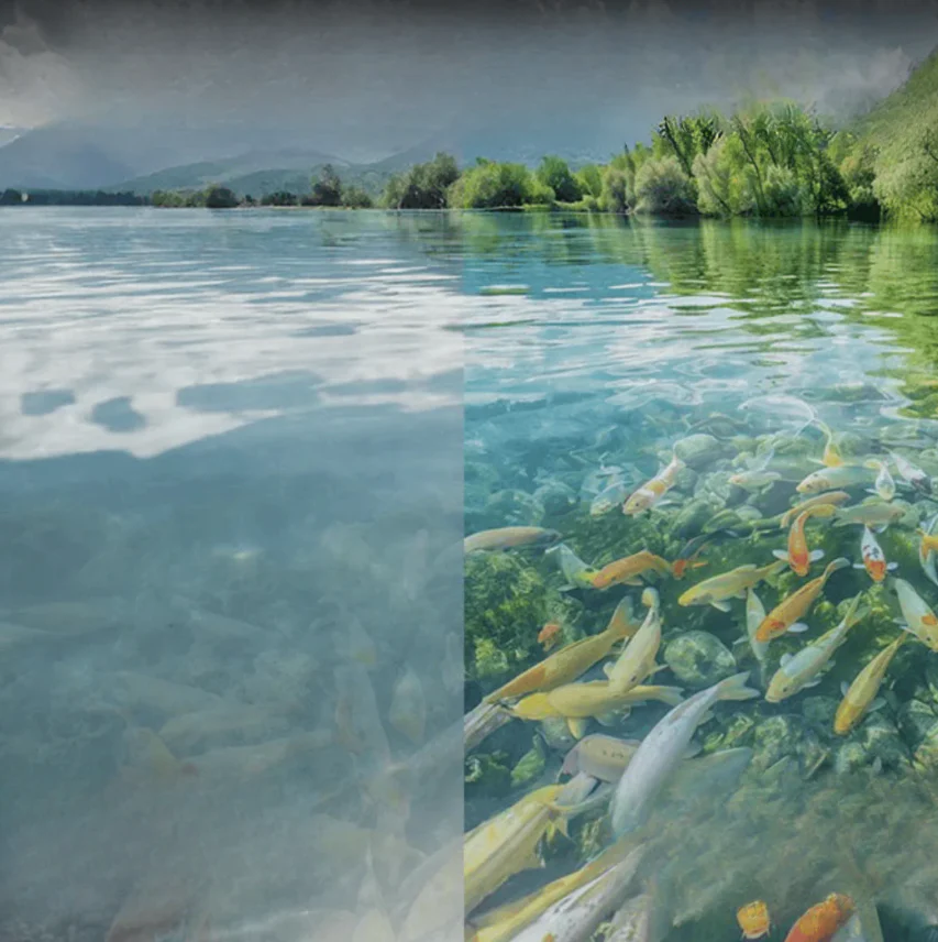 Clear Vision for Your Best Fishing Time: See Fish, Feel Success - Image 5
