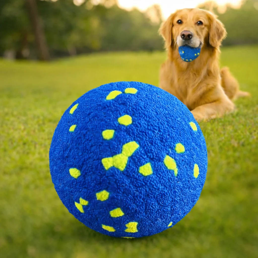 Daily Adventure Dog Toy for Fun and Energy