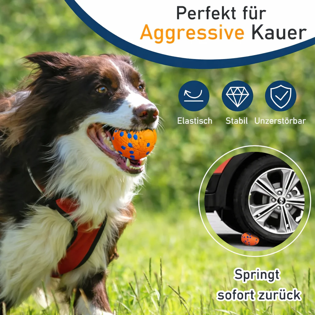 Daily Adventure Dog Toy for Fun and Energy - Image 3