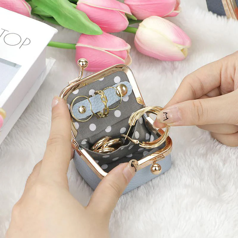 Elegant Jewelry Case for Safe and Radiant Storage Anywhere