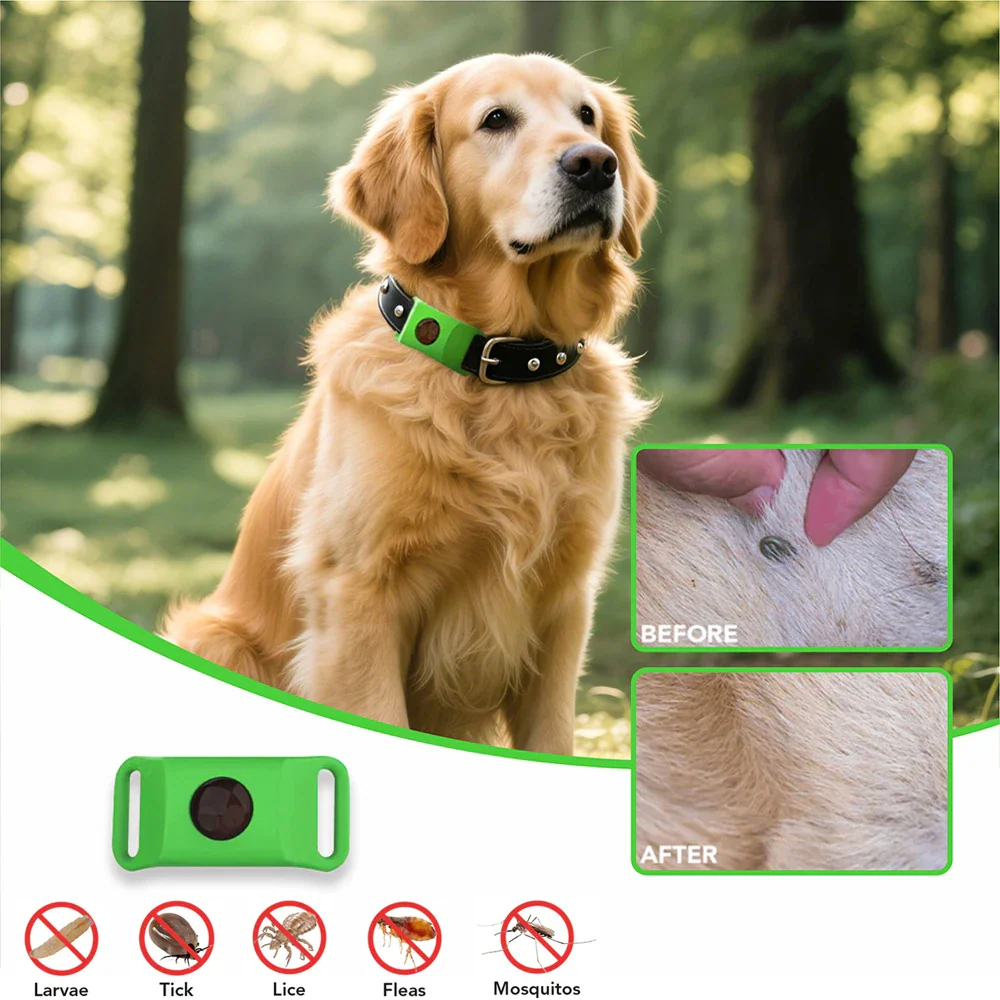 EverGuard™ Natural Protection Pendant — Give Your Pet a Year of Worry-Free, Chemical-Free Freedom - Image 4