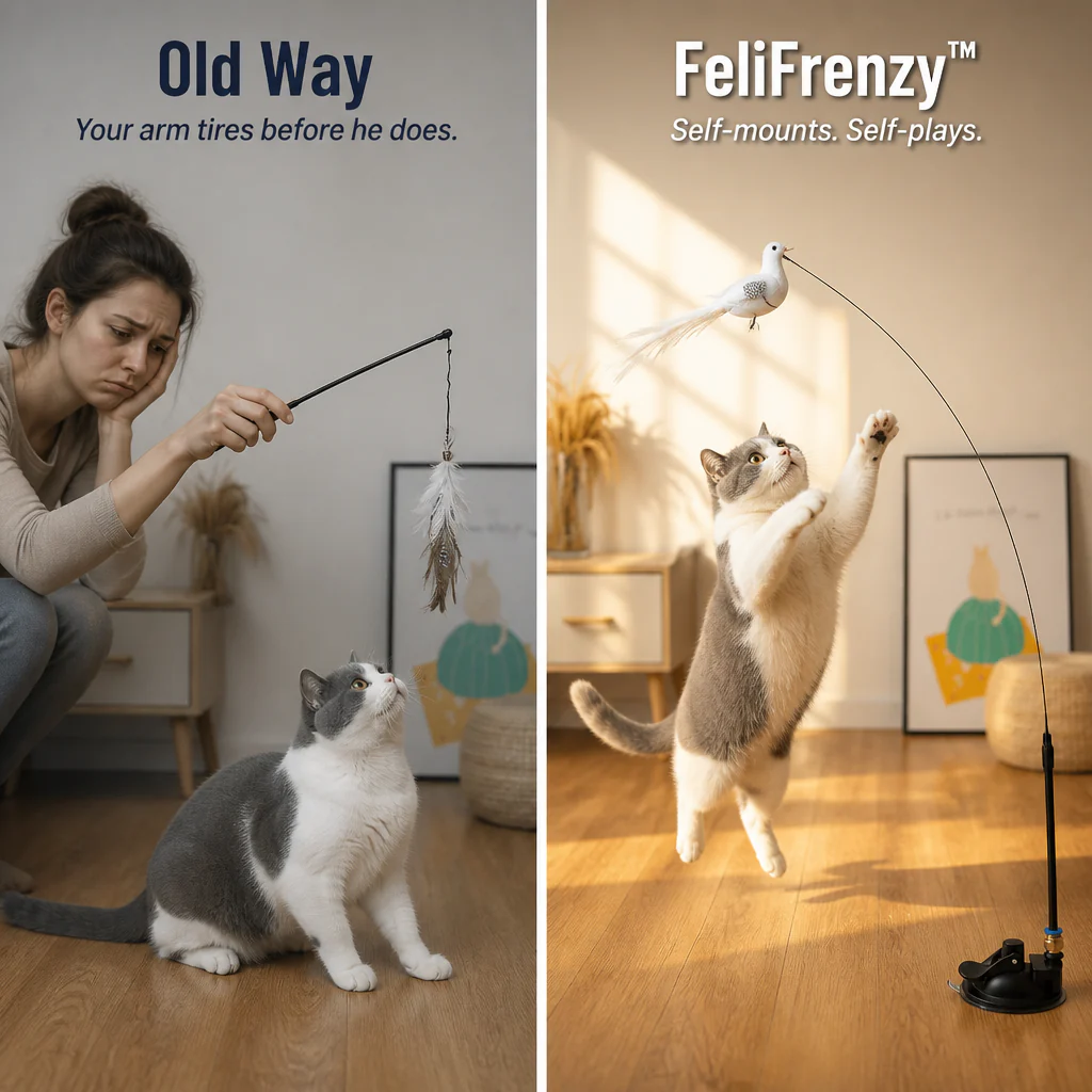 FeliFrenzy™ — Stick It Down, Walk Away, Watch Your Cat Hunt for Hours - Image 6