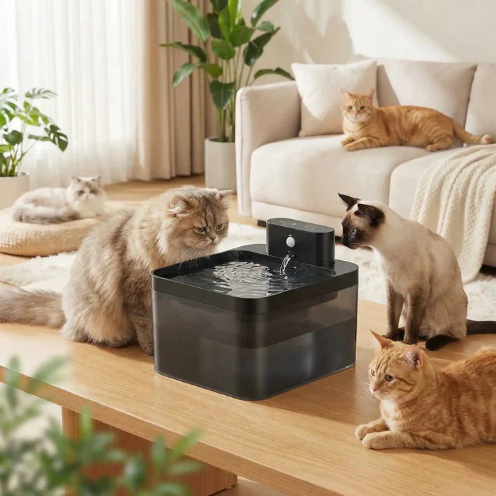 Fresh Water Fountain for Cats – Daily Hydration and Joy - Image 2