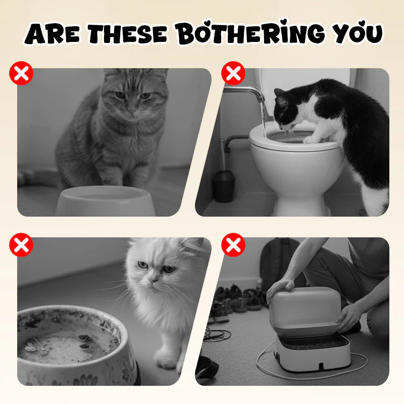 Stylish Cat Food Holder – Transform Mealtime into an Elegant Highlight - Image 3