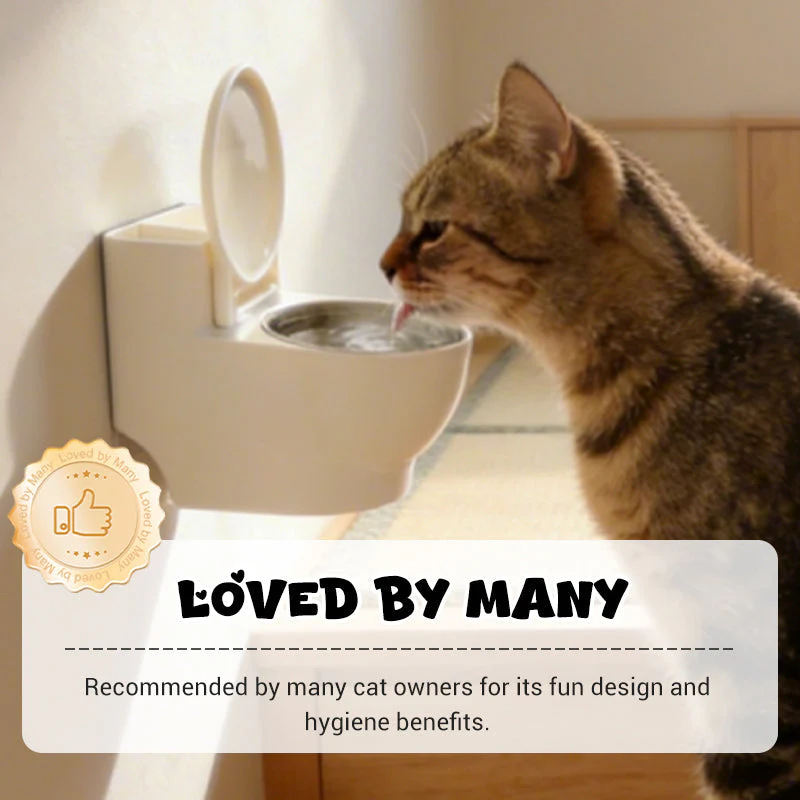 Stylish Cat Food Holder – Transform Mealtime into an Elegant Highlight - Image 9