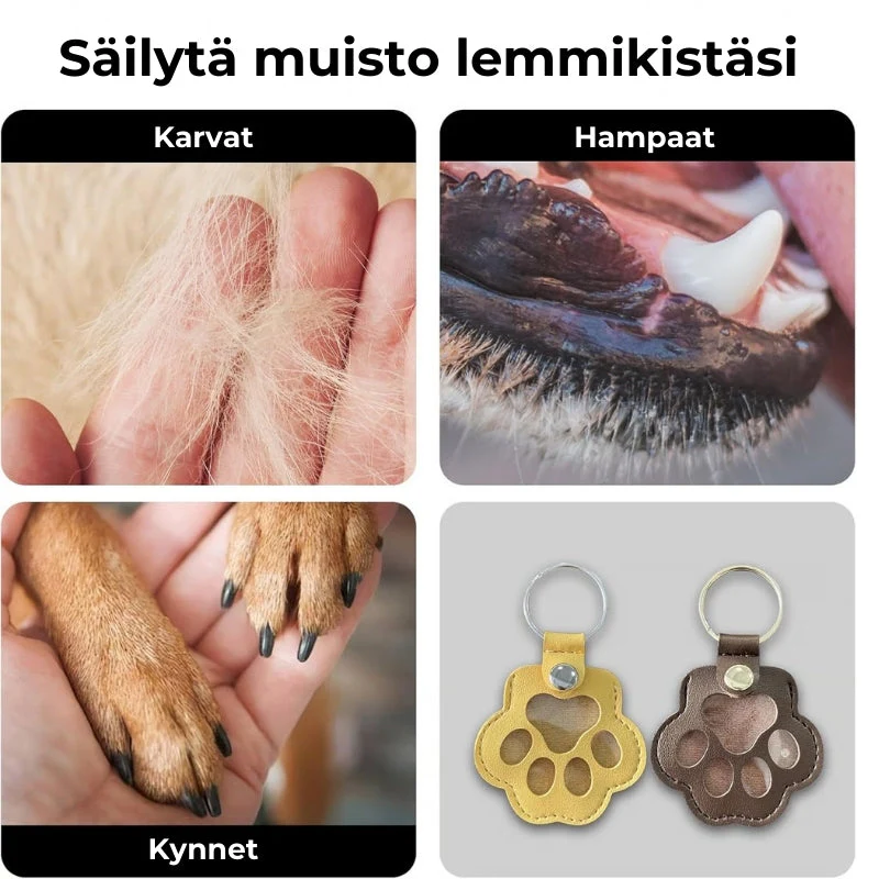 The PawPromise™ Keychain — Keep Your Pet’s Love Close, Healing Your Heart Every Day - Image 10