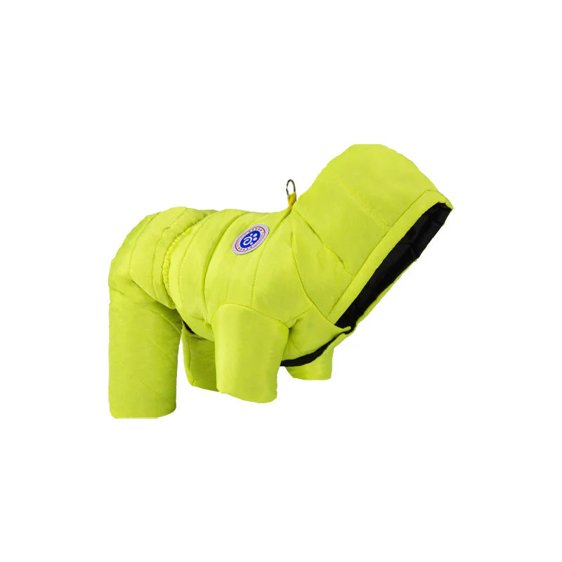 Transform Cold Winter Days into Cozy Comfort Moments for Your Dog - Image 13